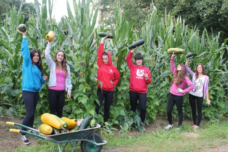 Funded volunteering in GEN Europe!