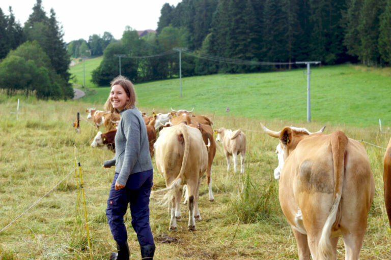 Funded volunteering in German ecovillages