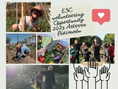 Funded volunteering in a Spanish ecovillage
