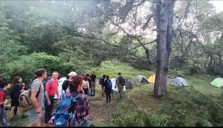 Silent Steps – Walking among nature, people and intentional communities